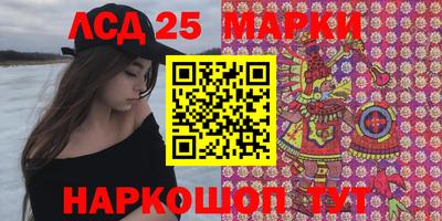 стафф Гай