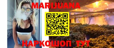 стафф Гай