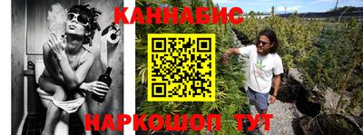 стафф Гай