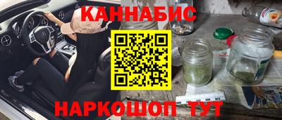 стафф Гай