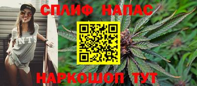 прущие грибы Гагарин