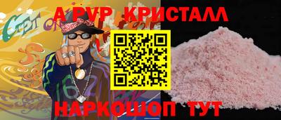 стафф Гай