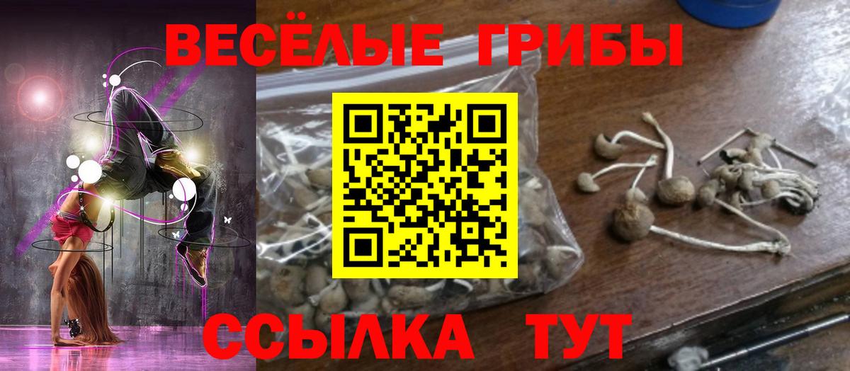 Холмск  Галлюциногенные грибы MAGIC MUSHROOMS  Вход с VPN 